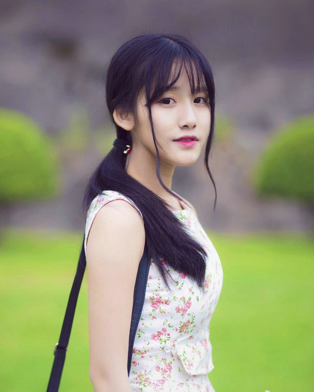 淮夏暖枳